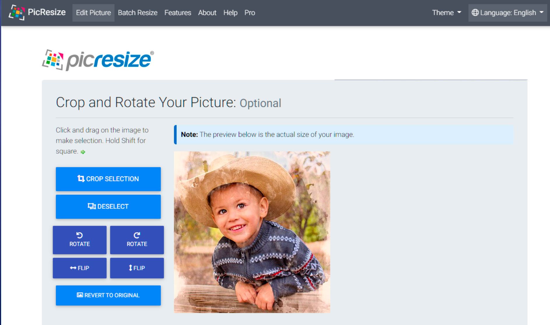Blow Up Pictures Online with PicResize..