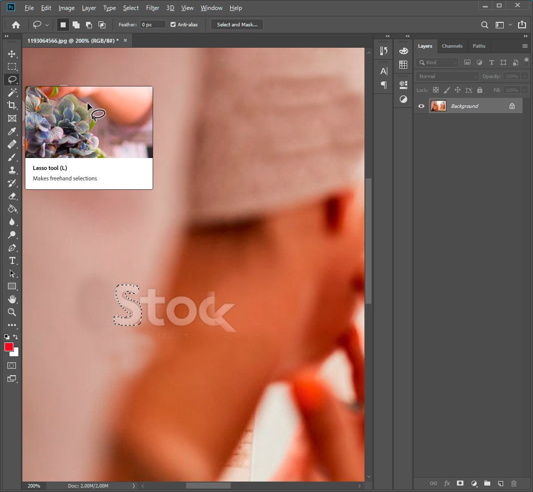 Photoshop chọn chữ ký nước trong suốt với công cụ lasso..