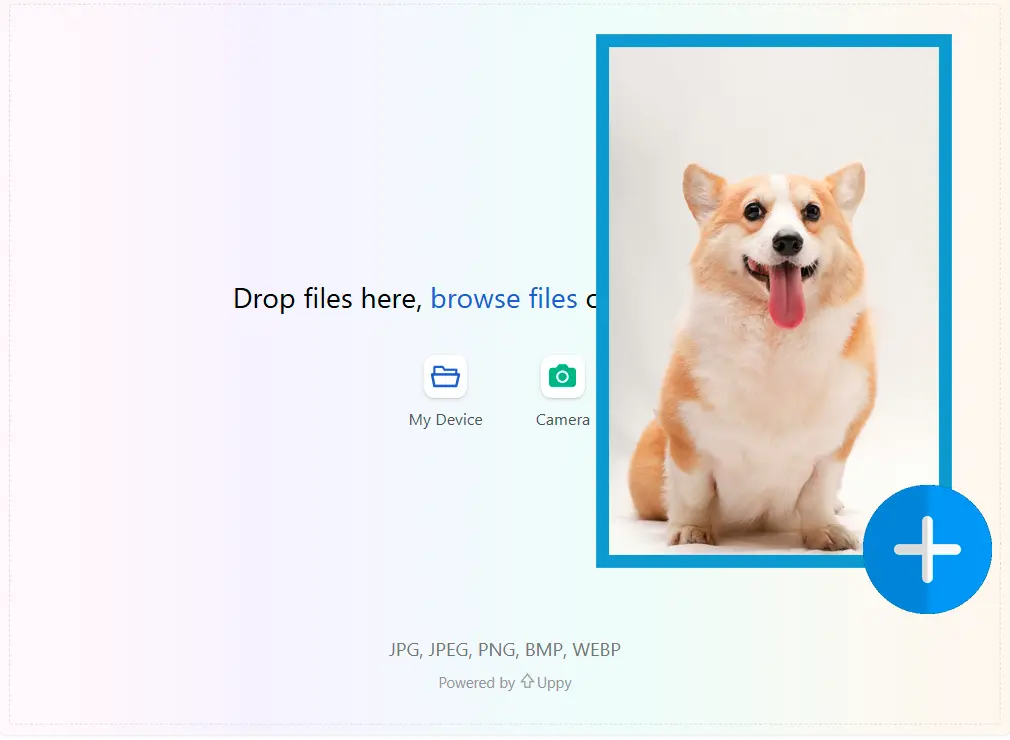 Tải ảnh của bạn lên.