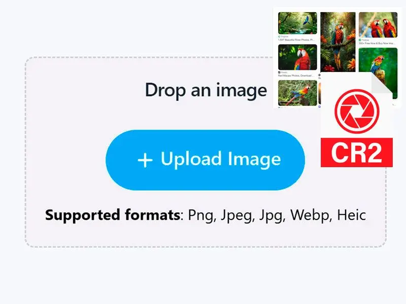 Thêm Tệp CR2 của bạn.