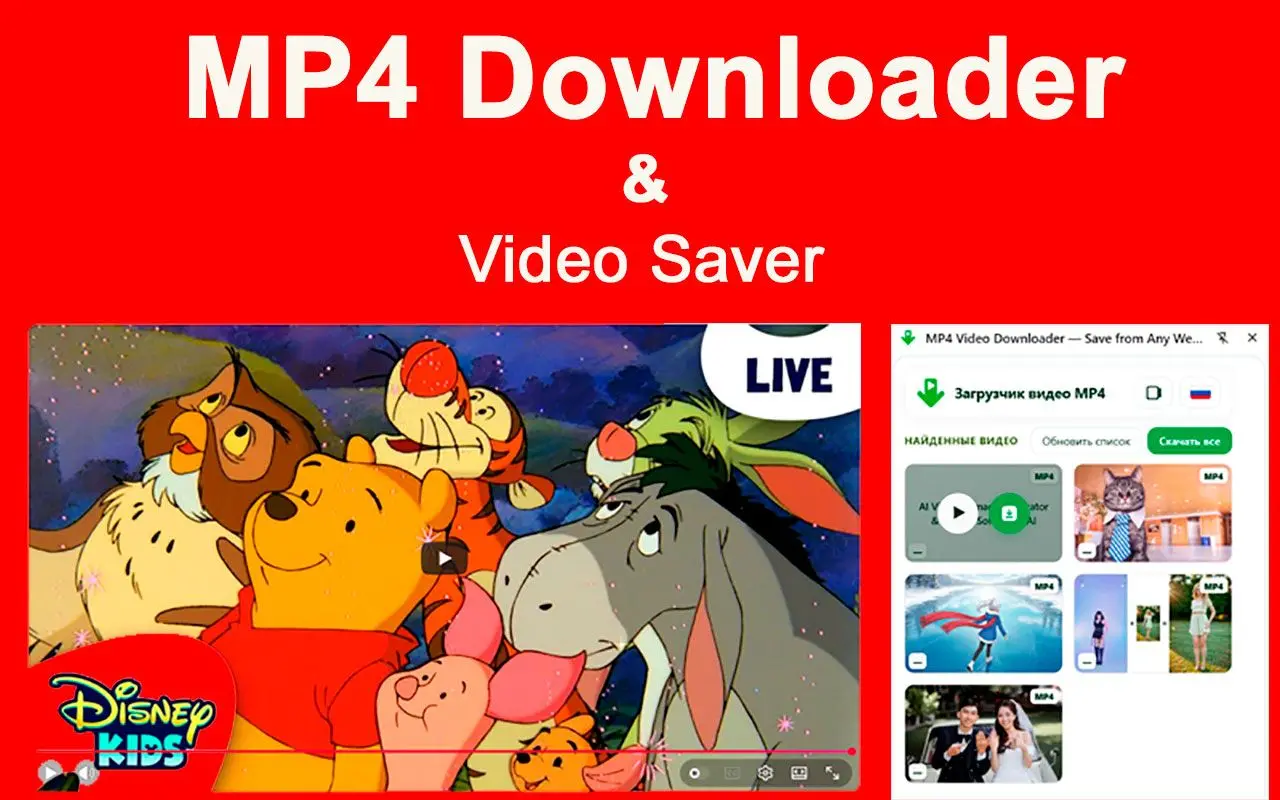 Giới hạn của <span class="bold">MP4 Downloader</span> & tiện ích mở rộng Chrome.
