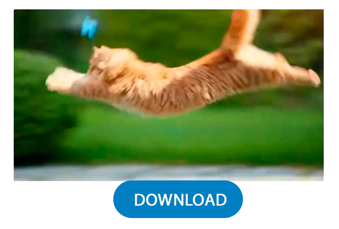 Tạo & Tải xuống.